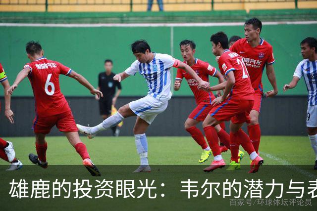 雄鹿的投资眼光：韦尔的潜力与表现分析